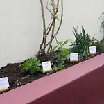 Quinta Do Faial アパート