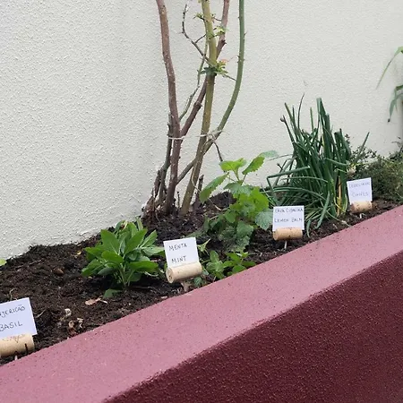 Quinta Do Faial Daire